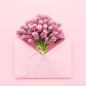 Homepage The Little Lift - Subscription